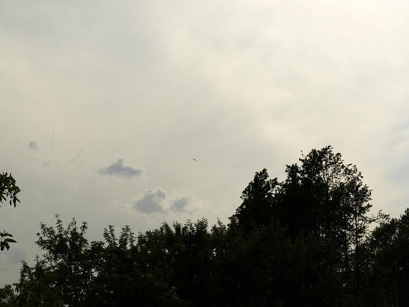 AUS05062009 (98).JPG